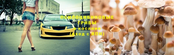 mdpv Арсеньев