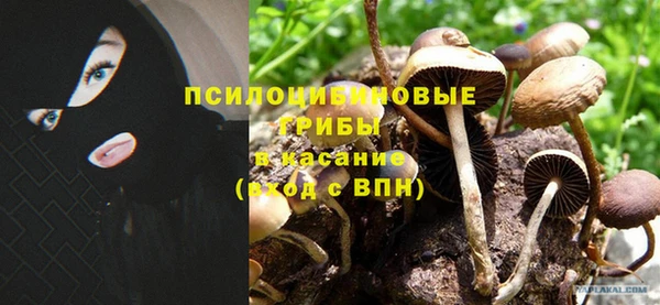 mdpv Арсеньев