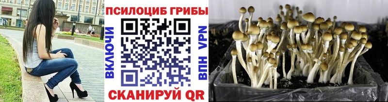 Псилоцибиновые грибы прущие грибы  Славгород 